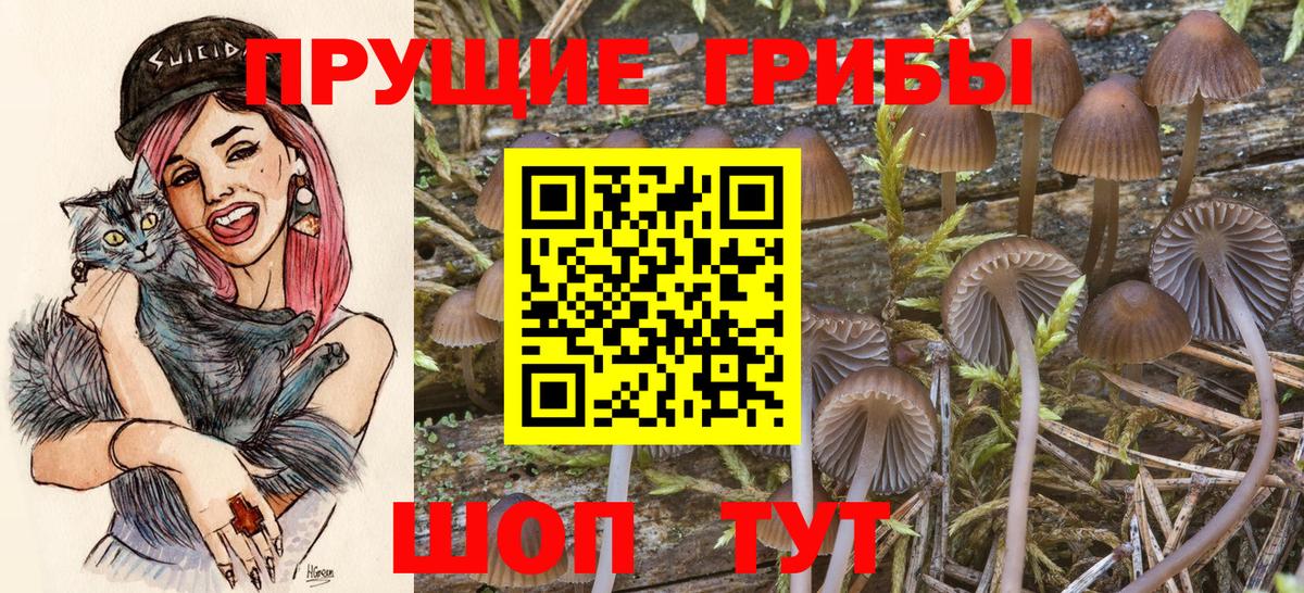 Псилоцибиновые грибы мухоморы  Вход с VPN  Ивантеевка  сколько стоит  Псилоцибиновые грибы мицелий 